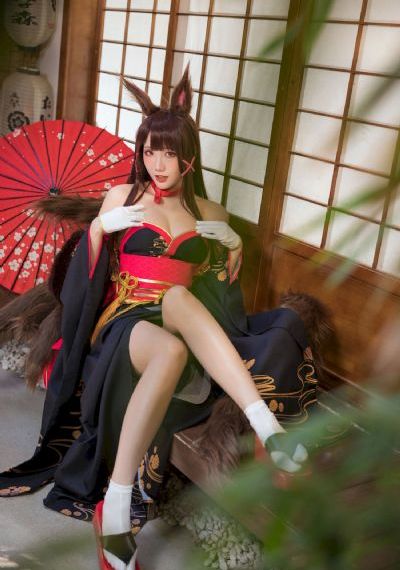 中餐厅第8季免费观看完整版_DVD手机免费观看完整