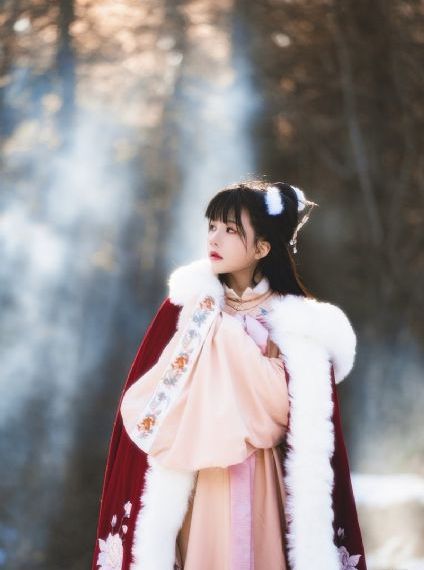 混乱之子第一季 电视剧_BD国语高清免费观看